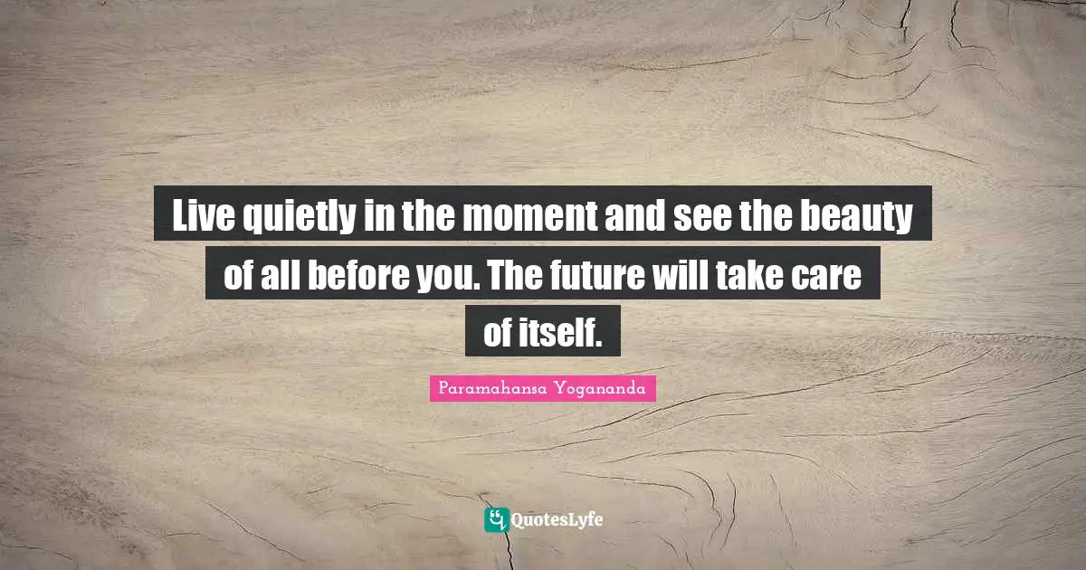 Beauty Quotes: "Live quietly in the moment and see the beauty of all before you. The future will take care of itself."