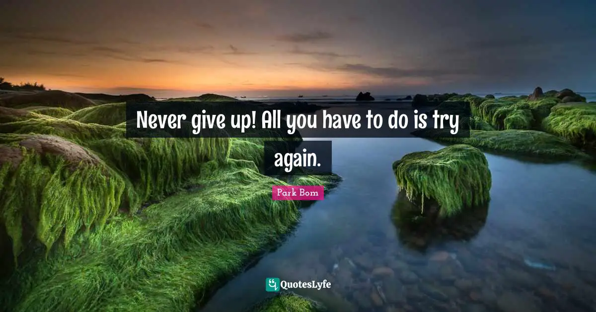 Try Quotes: "Never give up! All you have to do is try again."