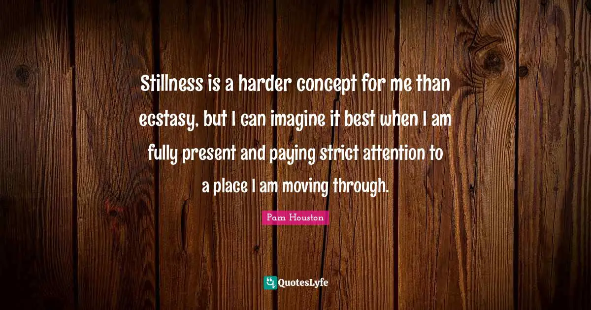 Stillness is a harder concept for me than ecstasy, but I can imagine it best when I am fully present and paying strict attention to a place I am moving through.