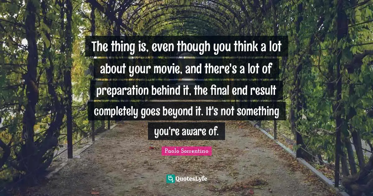 The thing is, even though you think a lot about your movie, and there's a lot of preparation behind it, the final end result completely goes beyond it. It's not something you're aware of.