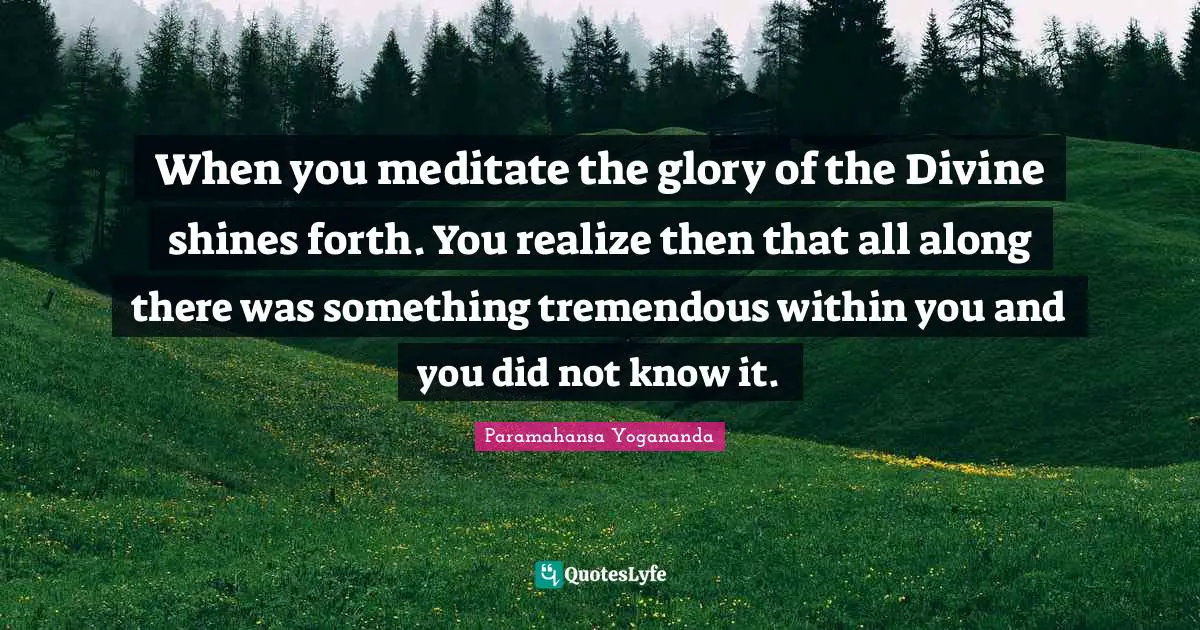 When you meditate the glory of the Divine shines forth. You realize then that all along there was something tremendous within you and you did not know it.