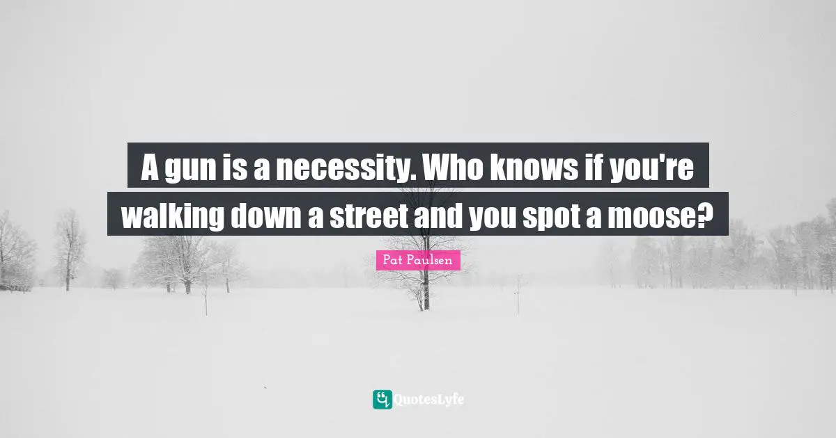 A gun is a necessity. Who knows if you're walking down a street and you spot a moose?