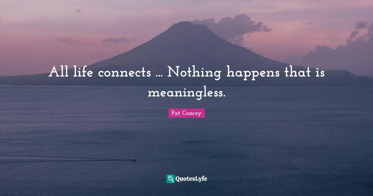 All life connects ... Nothing happens that is meaningless.
