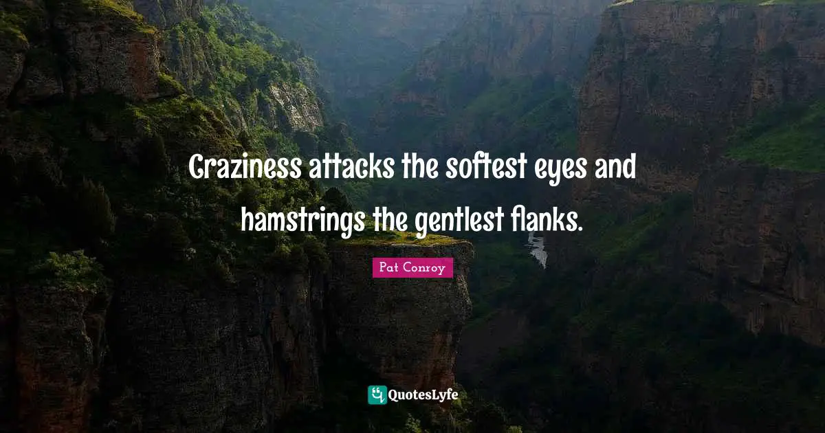 Craziness Quotes: "Craziness attacks the softest eyes and hamstrings the gentlest flanks."