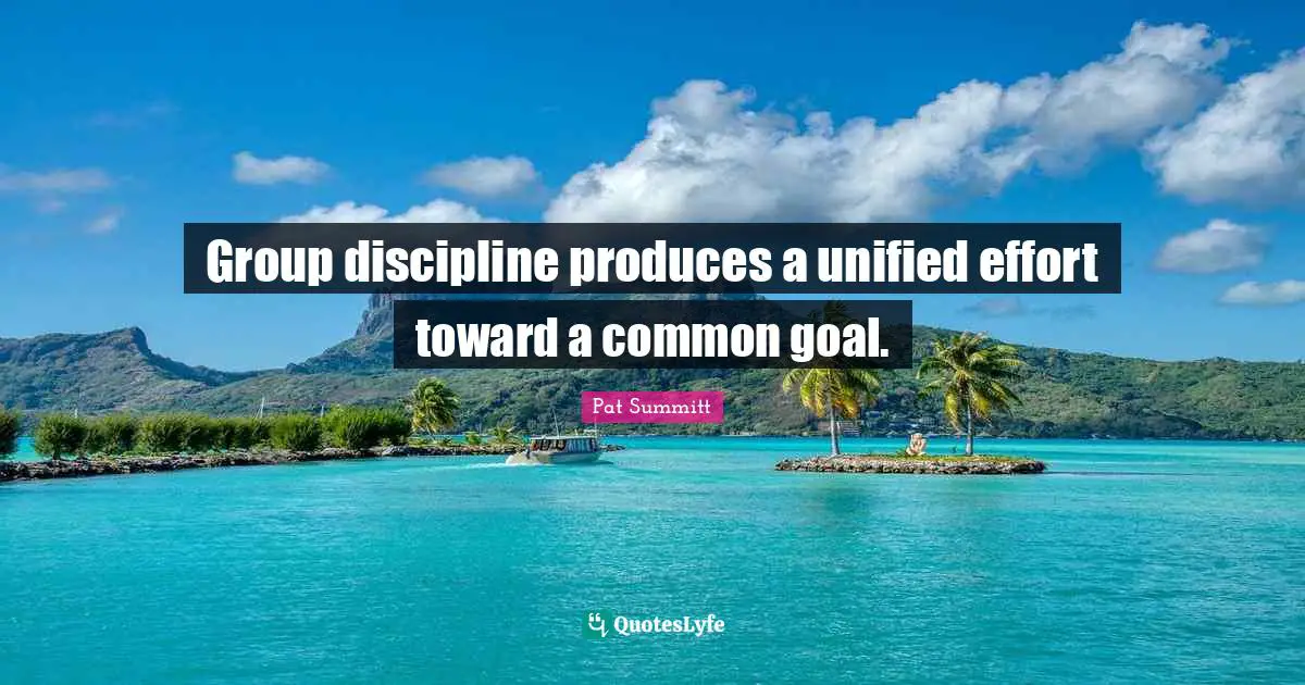 Group discipline produces a unified effort toward a common goal.