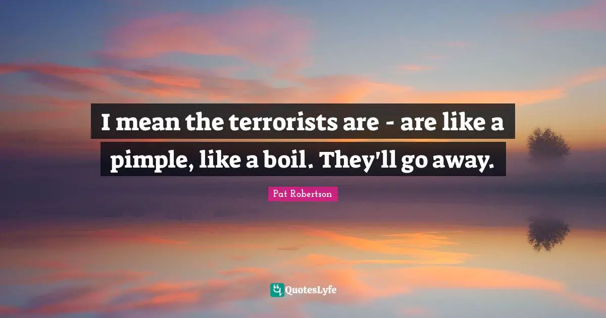 Pat Robertson Quotes: "I mean the terrorists are - are like a pimple, like a boil. They'll go away."