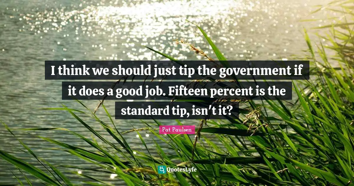 I think we should just tip the government if it does a good job. Fifteen percent is the standard tip, isn't it?