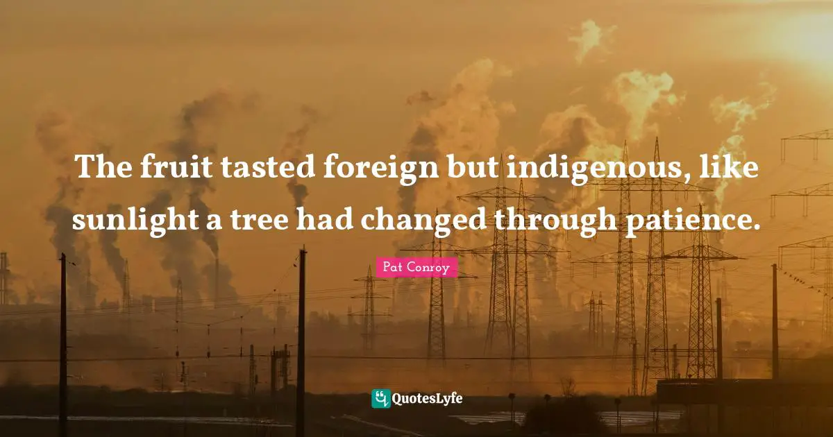 The fruit tasted foreign but indigenous, like sunlight a tree had changed through patience.