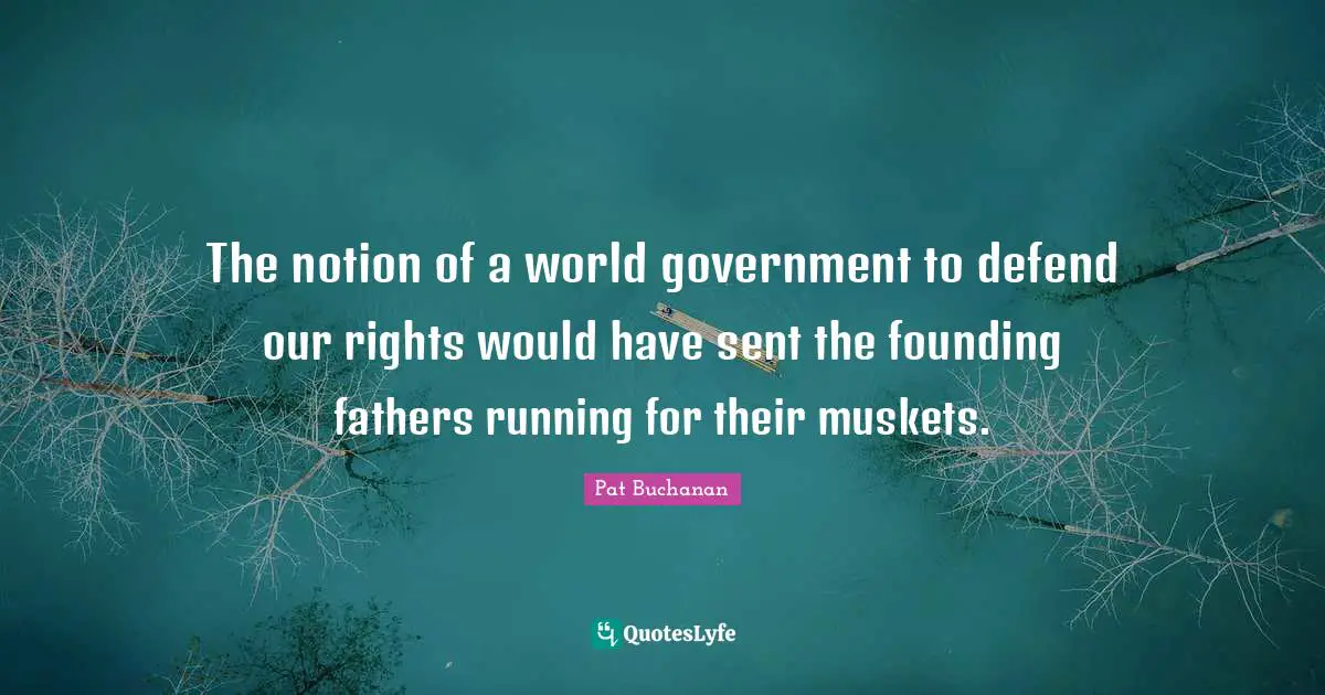 The notion of a world government to defend our rights would have sent the founding fathers running for their muskets.