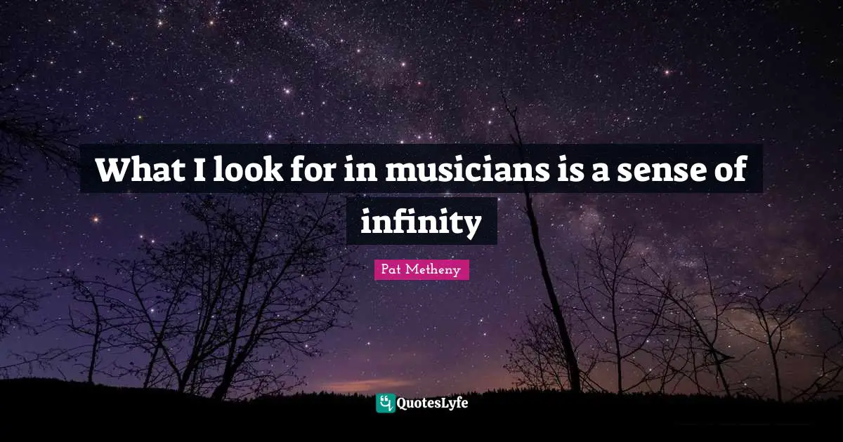 Pat Metheny Quotes: "What I look for in musicians is a sense of infinity"