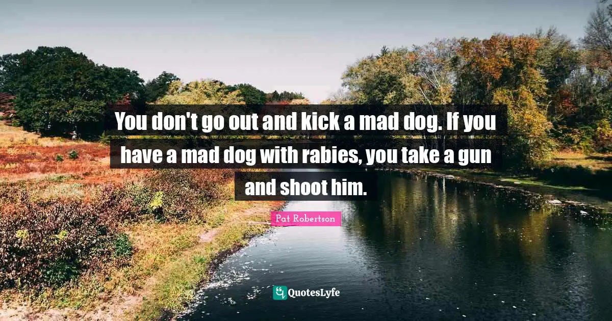 Rabies Quotes: "You don't go out and kick a mad dog. If you have a mad dog with rabies, you take a gun and shoot him."