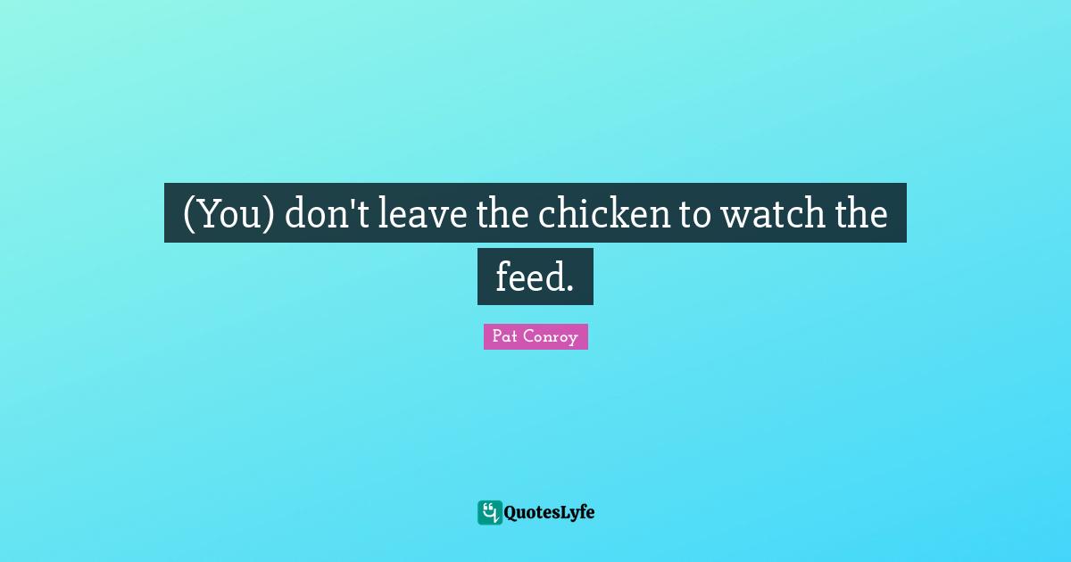 (You) don't leave the chicken to watch the feed.