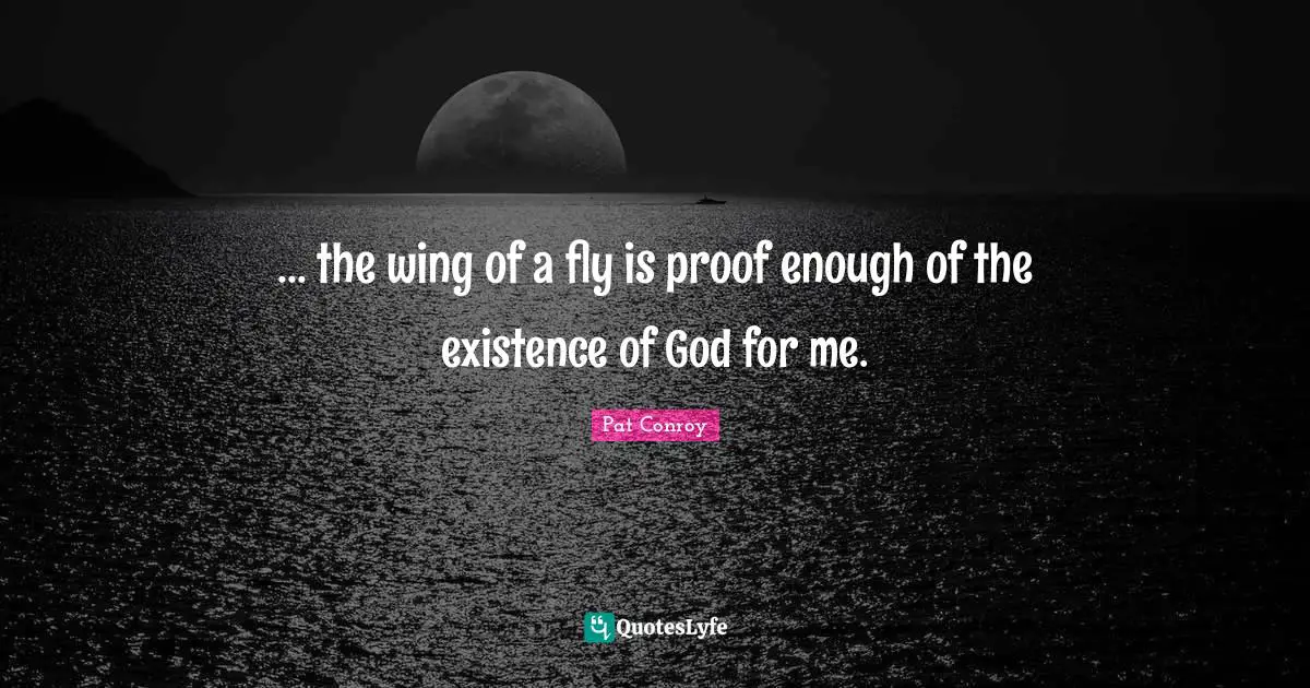 ... the wing of a fly is proof enough of the existence of God for me.