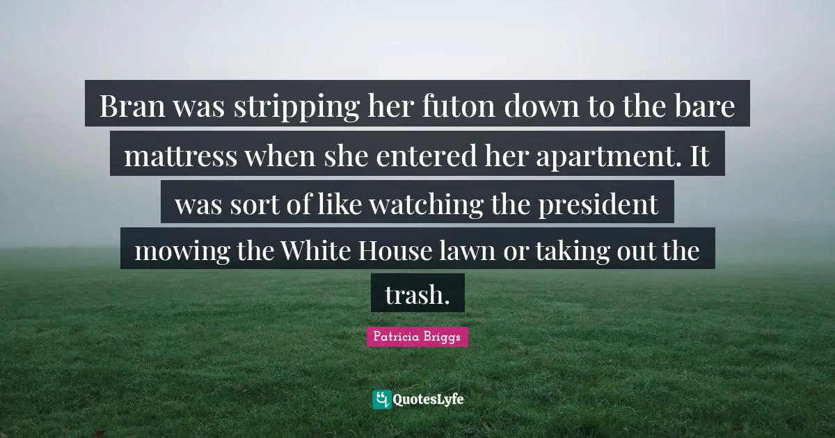 Stripping Quotes: "Bran was stripping her futon down to the bare mattress when she entered her apartment. It was sort of like watching the president mowing the White House lawn or taking out the trash."