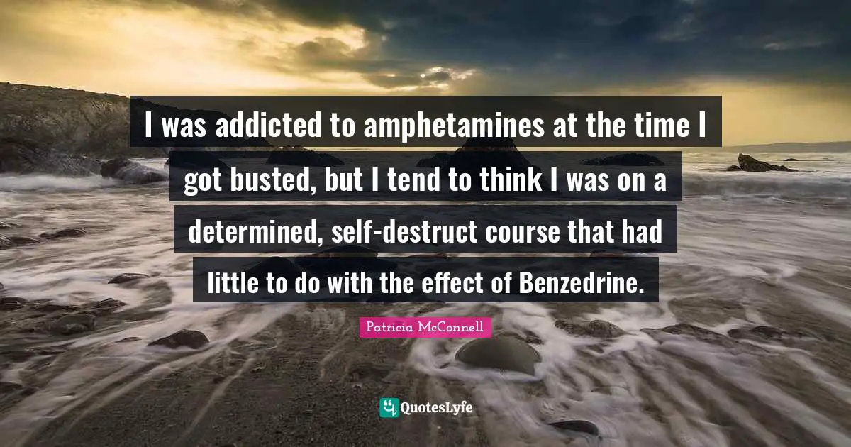 I was addicted to amphetamines at the time I got busted, but I tend to think I was on a determined, self-destruct course that had little to do with the effect of Benzedrine.