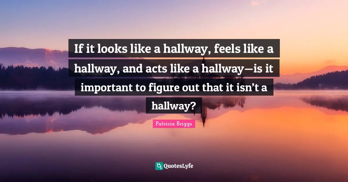 If it looks like a hallway, feels like a hallway, and acts like a hallway—is it important to figure out that it isn’t a hallway?