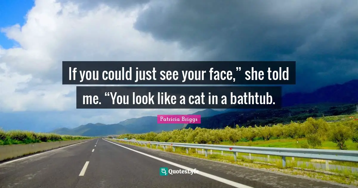 If you could just see your face,” she told me. “You look like a cat in a bathtub.