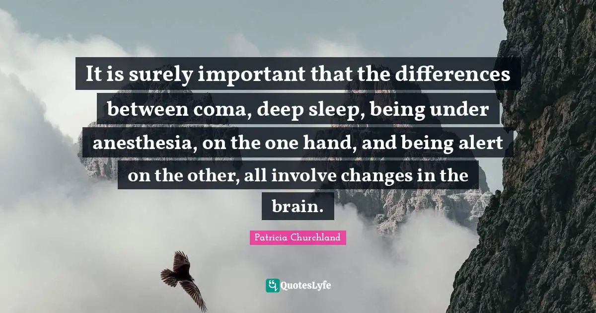 It is surely important that the differences between coma, deep sleep, being under anesthesia, on the one hand, and being alert on the other, all involve changes in the brain.