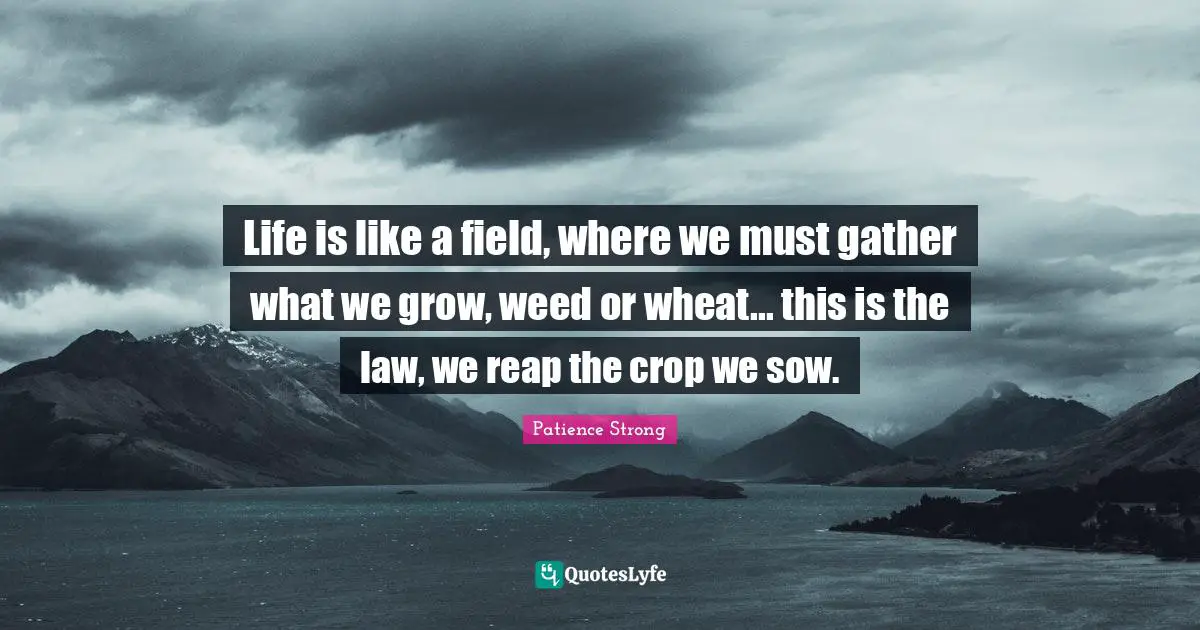 Life is like a field, where we must gather what we grow, weed or wheat... this is the law, we reap the crop we sow.