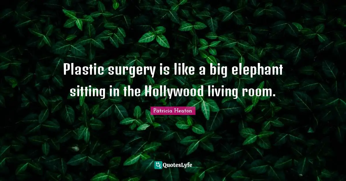 Plastic surgery is like a big elephant sitting in the Hollywood living room.