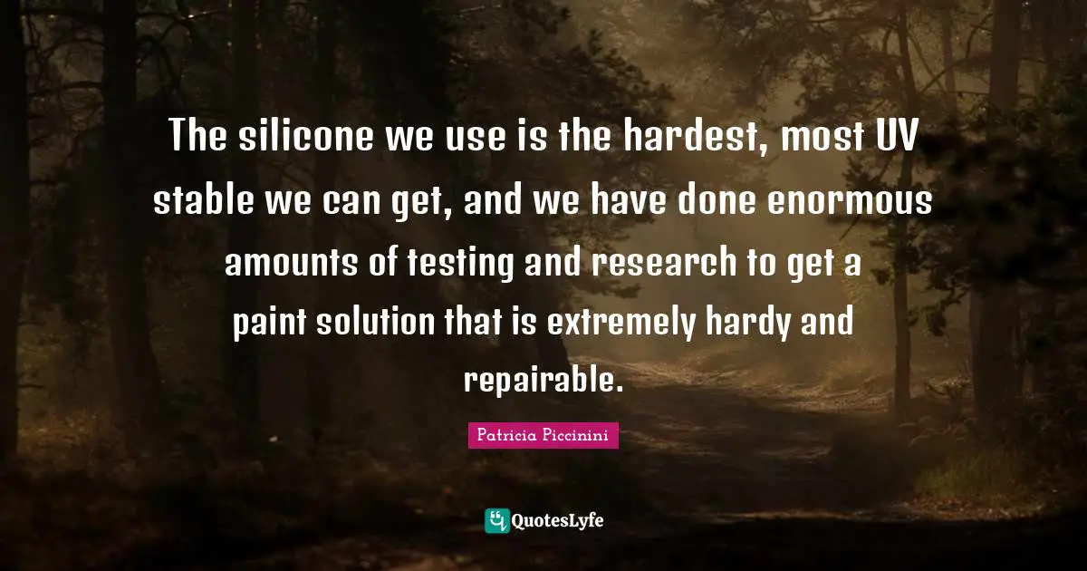 The silicone we use is the hardest, most UV stable we can get, and we have done enormous amounts of testing and research to get a paint solution that is extremely hardy and repairable.