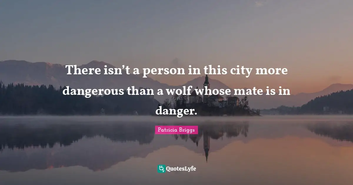 There isn’t a person in this city more dangerous than a wolf whose mate is in danger.