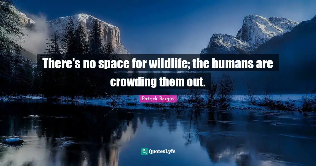 There's no space for wildlife; the humans are crowding them out.