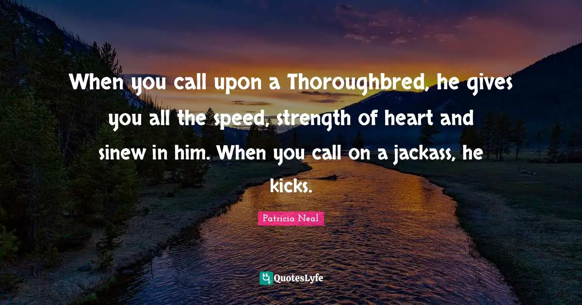 When you call upon a Thoroughbred, he gives you all the speed, strength of heart and sinew in him. When you call on a jackass, he kicks.