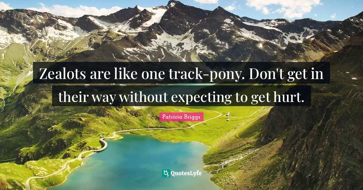 Zealots are like one track-pony. Don't get in their way without expecting to get hurt.
