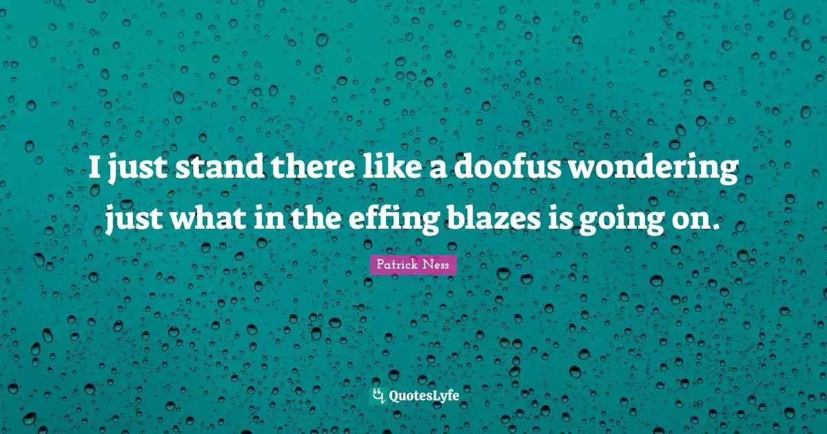 I just stand there like a doofus wondering just what in the effing blazes is going on.