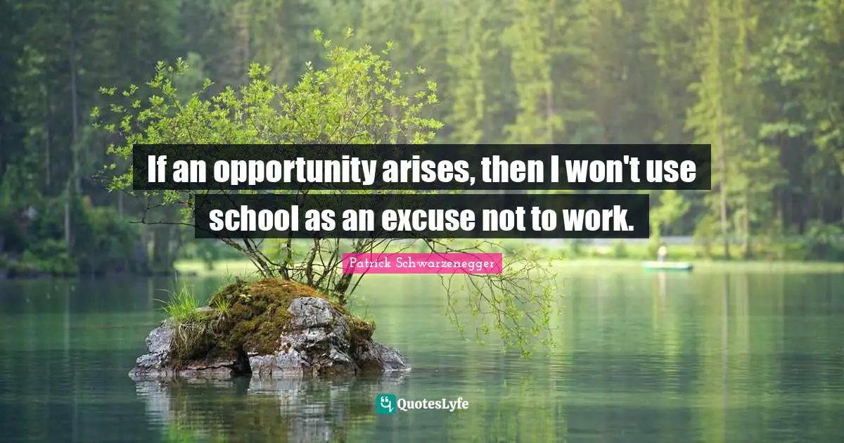 If an opportunity arises, then I won't use school as an excuse not to work.
