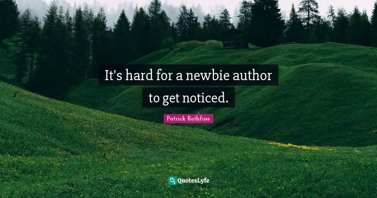 It's hard for a newbie author to get noticed.