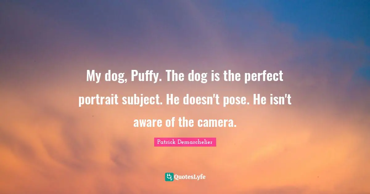 My dog, Puffy. The dog is the perfect portrait subject. He doesn't pose. He isn't aware of the camera.