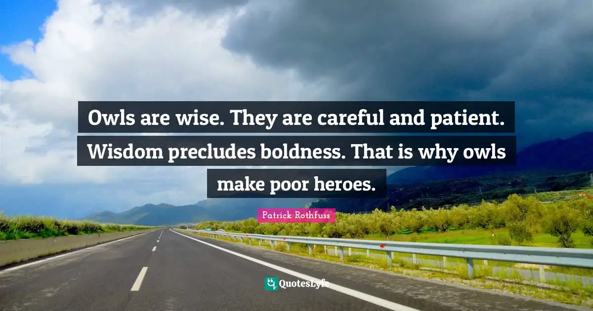 Owls are wise. They are careful and patient. Wisdom precludes boldness. That is why owls make poor heroes.