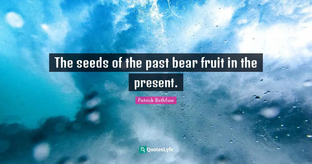 The seeds of the past bear fruit in the present.
