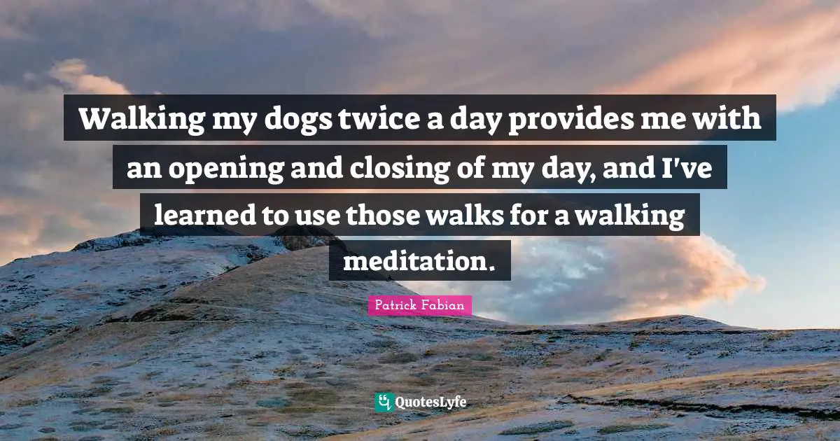 Walking my dogs twice a day provides me with an opening and closing of my day, and I've learned to use those walks for a walking meditation.