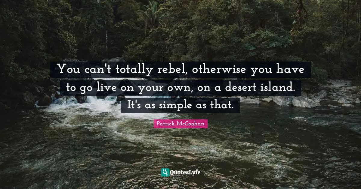 You can't totally rebel, otherwise you have to go live on your own, on a desert island. It's as simple as that.