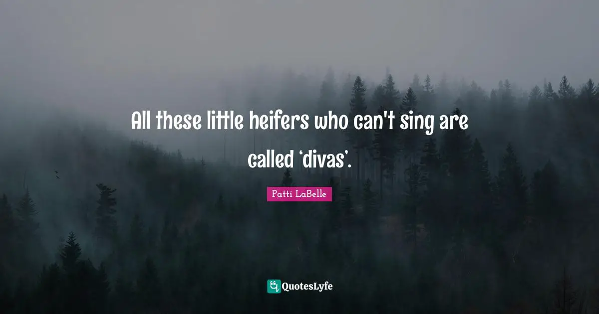 All these little heifers who can't sing are called ‘divas’.