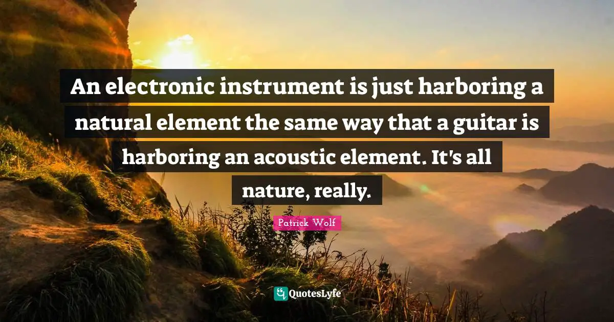 An electronic instrument is just harboring a natural element the same way that a guitar is harboring an acoustic element. It's all nature, really.