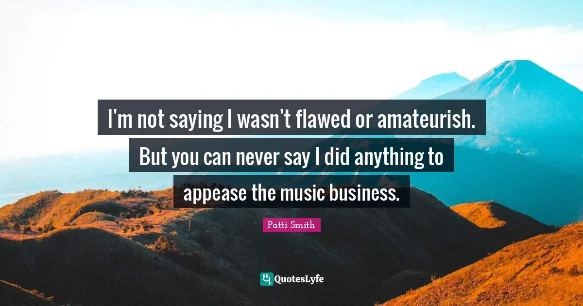 I'm not saying I wasn't flawed or amateurish. But you can never say I did anything to appease the music business.