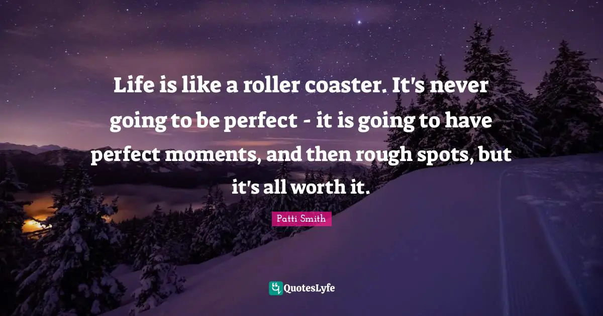 Life is like a roller coaster. It's never going to be perfect - it is going to have perfect moments, and then rough spots, but it's all worth it.