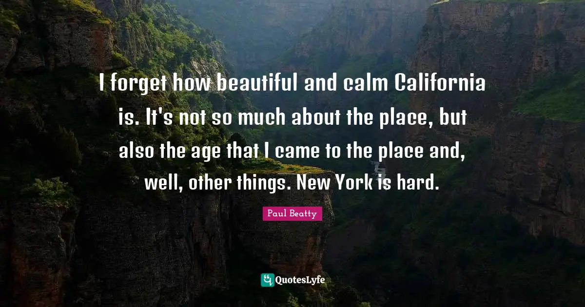 I forget how beautiful and calm California is. It's not so much about the place, but also the age that I came to the place and, well, other things. New York is hard.