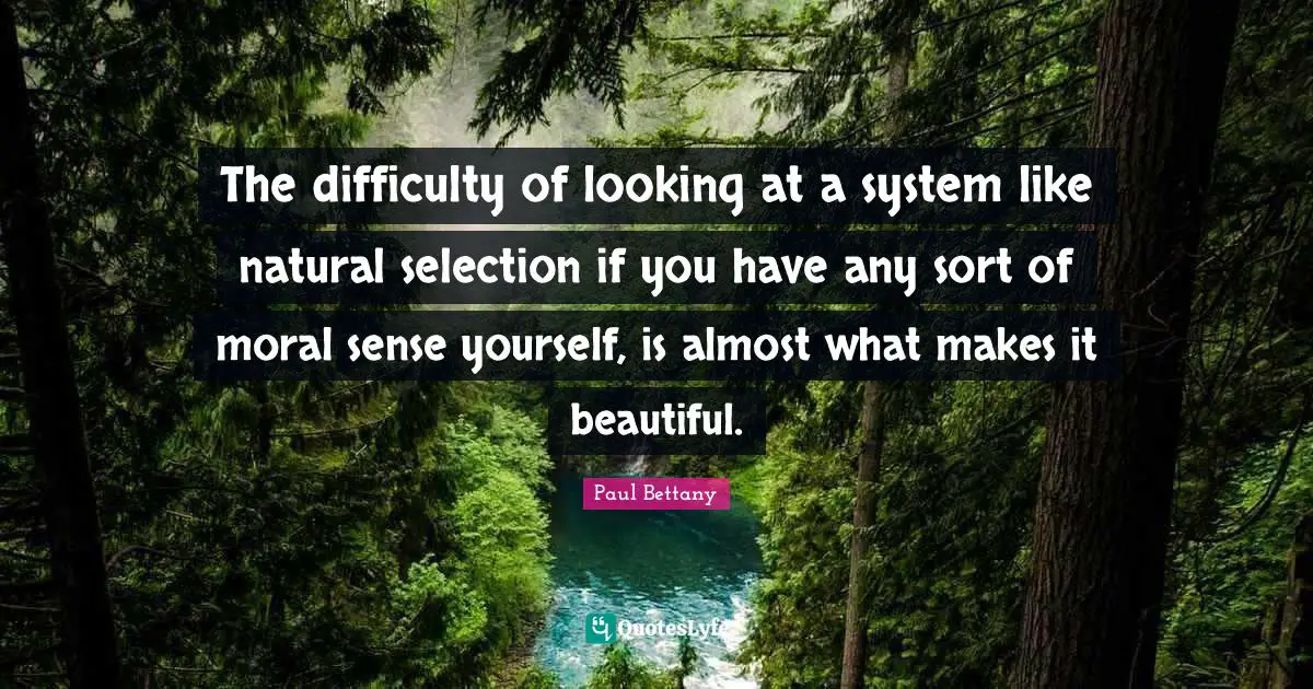 Natural Selection Quotes: "The difficulty of looking at a system like natural selection if you have any sort of moral sense yourself, is almost what makes it beautiful."