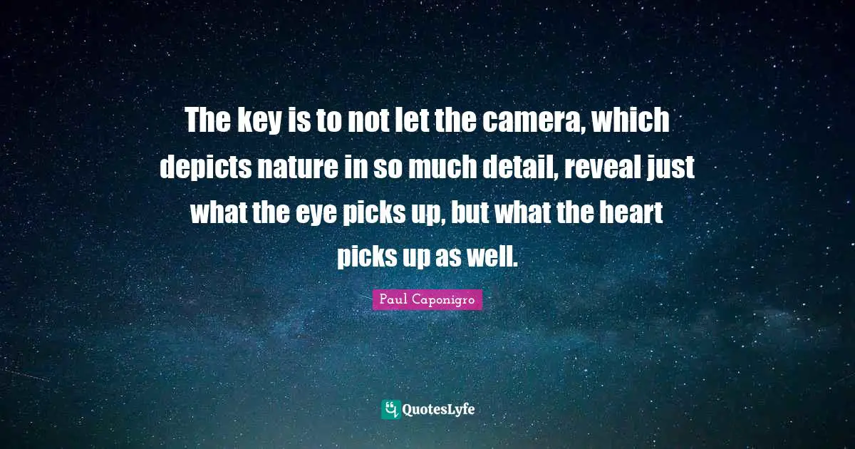 The key is to not let the camera, which depicts nature in so much detail, reveal just what the eye picks up, but what the heart picks up as well.
