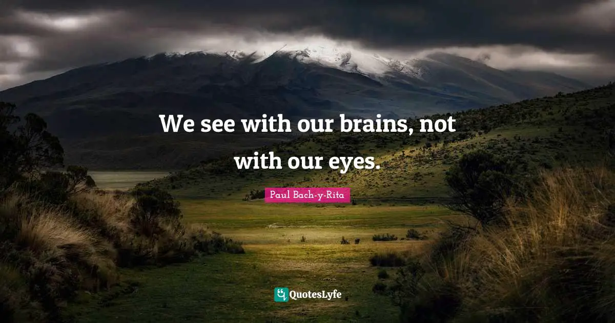 We see with our brains, not with our eyes.