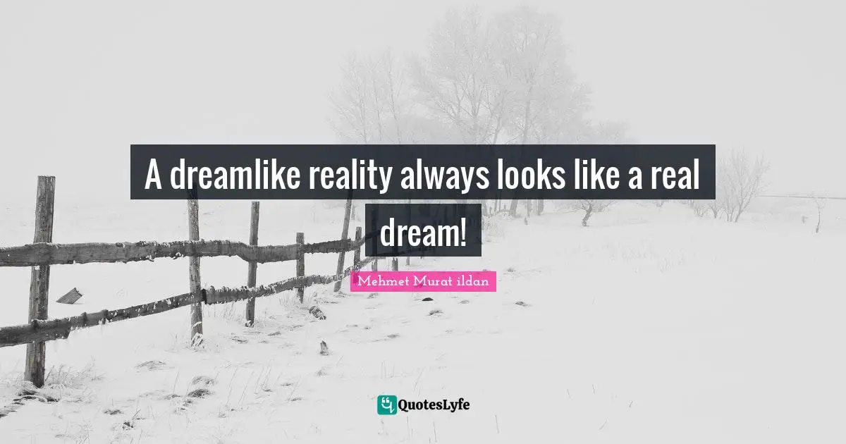 A dreamlike reality always looks like a real dream!