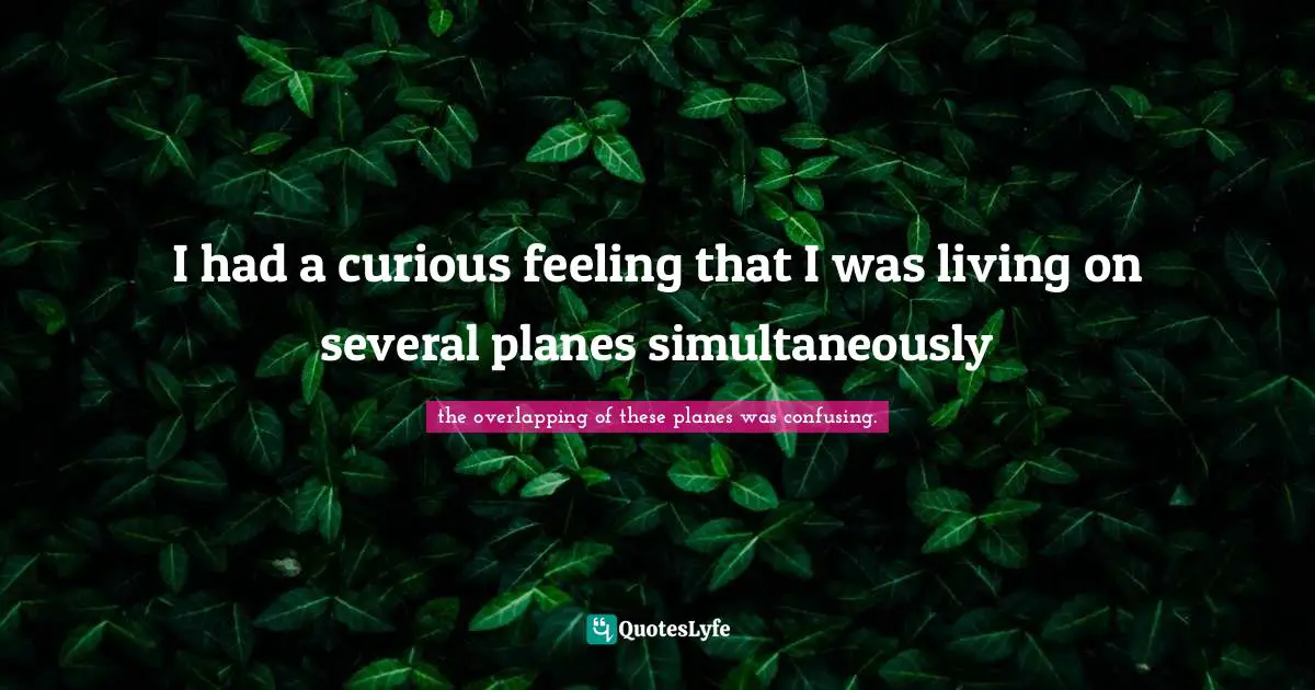 I had a curious feeling that I was living on several planes simultaneously