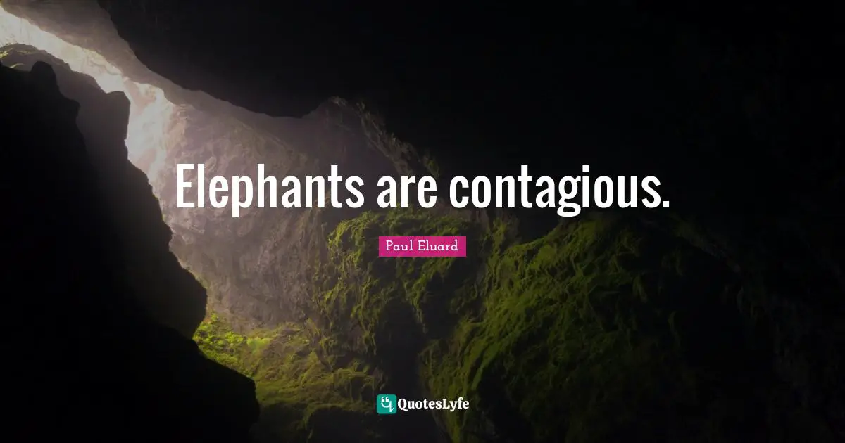 Elephants Quotes: "Elephants are contagious."