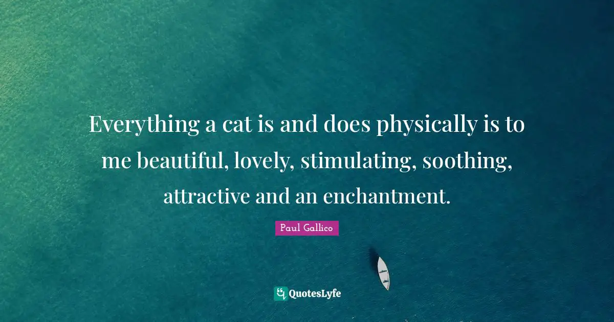 Everything a cat is and does physically is to me beautiful, lovely, stimulating, soothing, attractive and an enchantment.