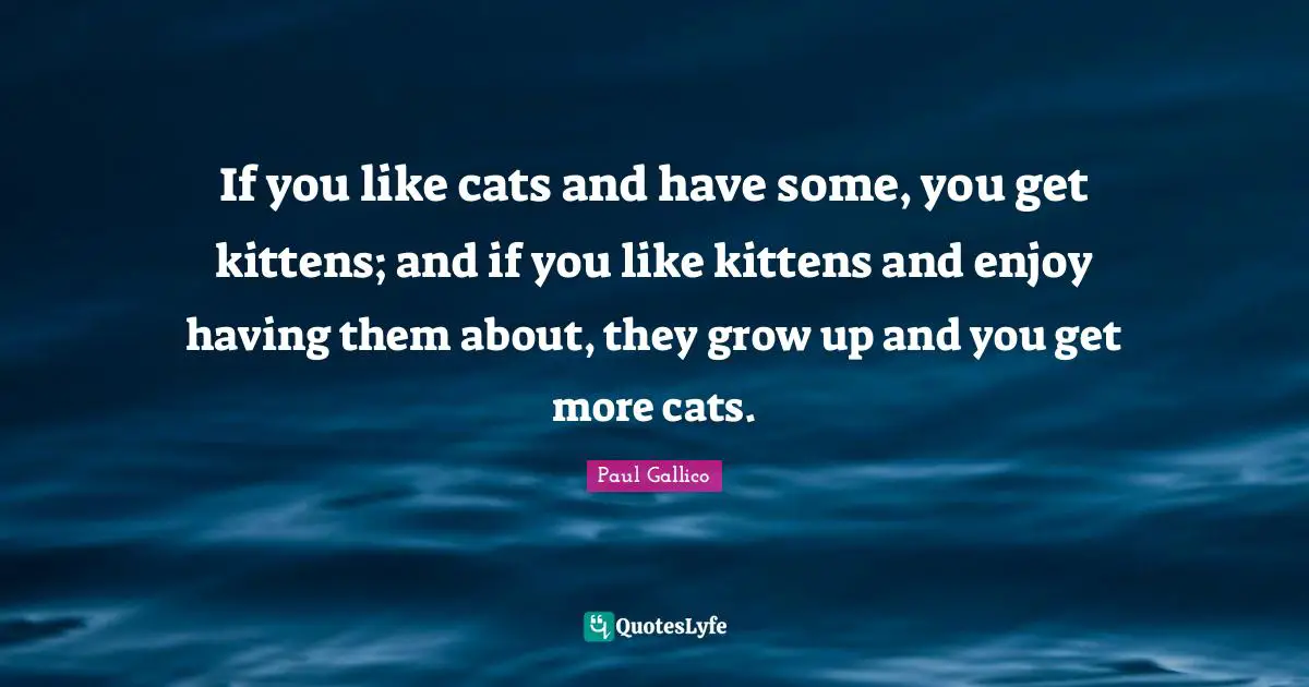 If you like cats and have some, you get kittens; and if you like kittens and enjoy having them about, they grow up and you get more cats.